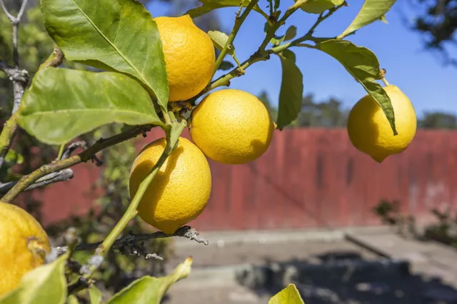 $1,849,000 | 155 South Ontare Road, Santa Barbara, CA 93105