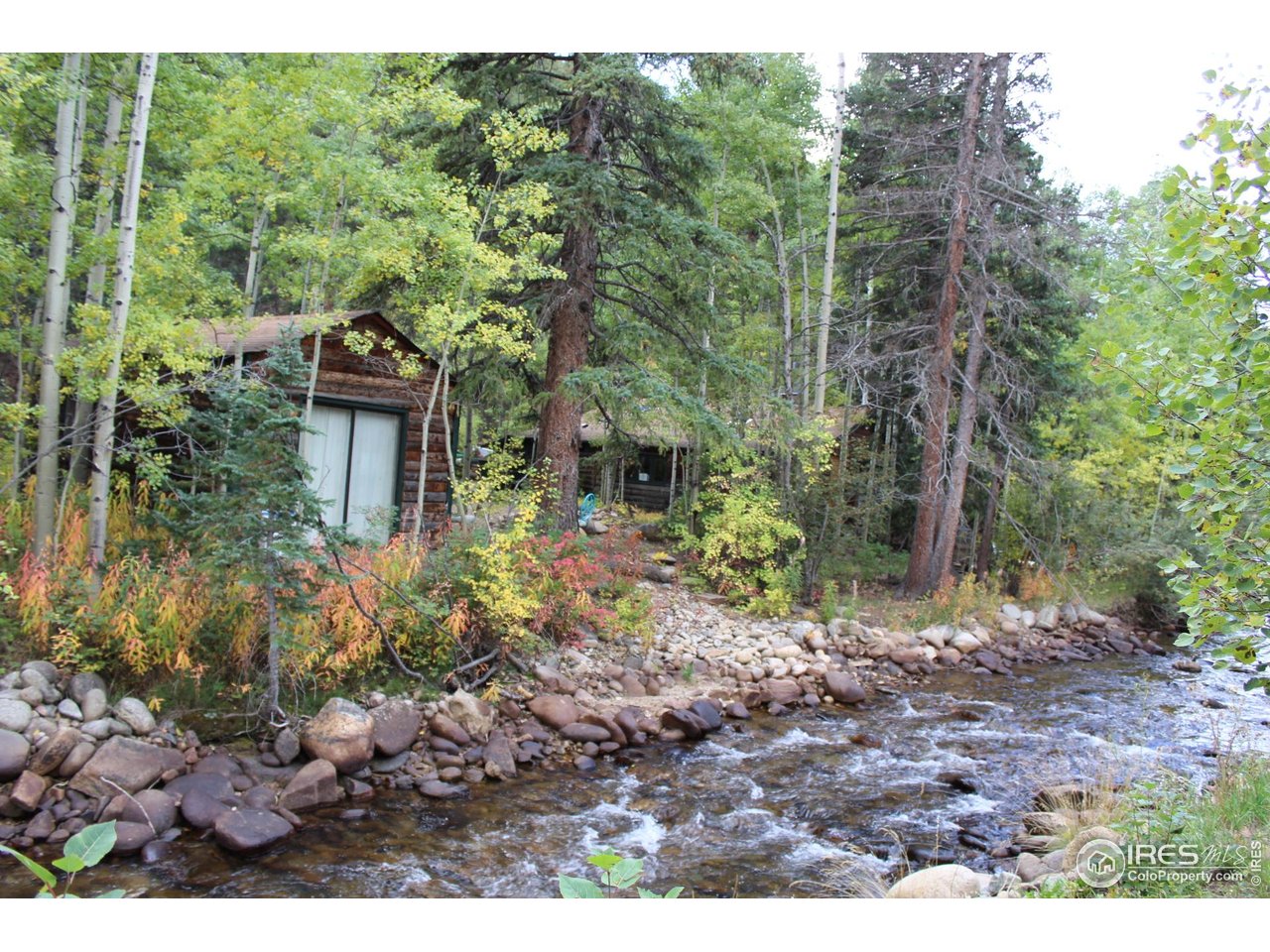 Studio/Cabin on St Vrain River