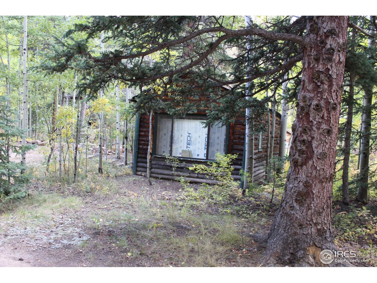 223 Riverside Drive Lyons, CO 80540 - Photo 7 of 33 Studio/workshop