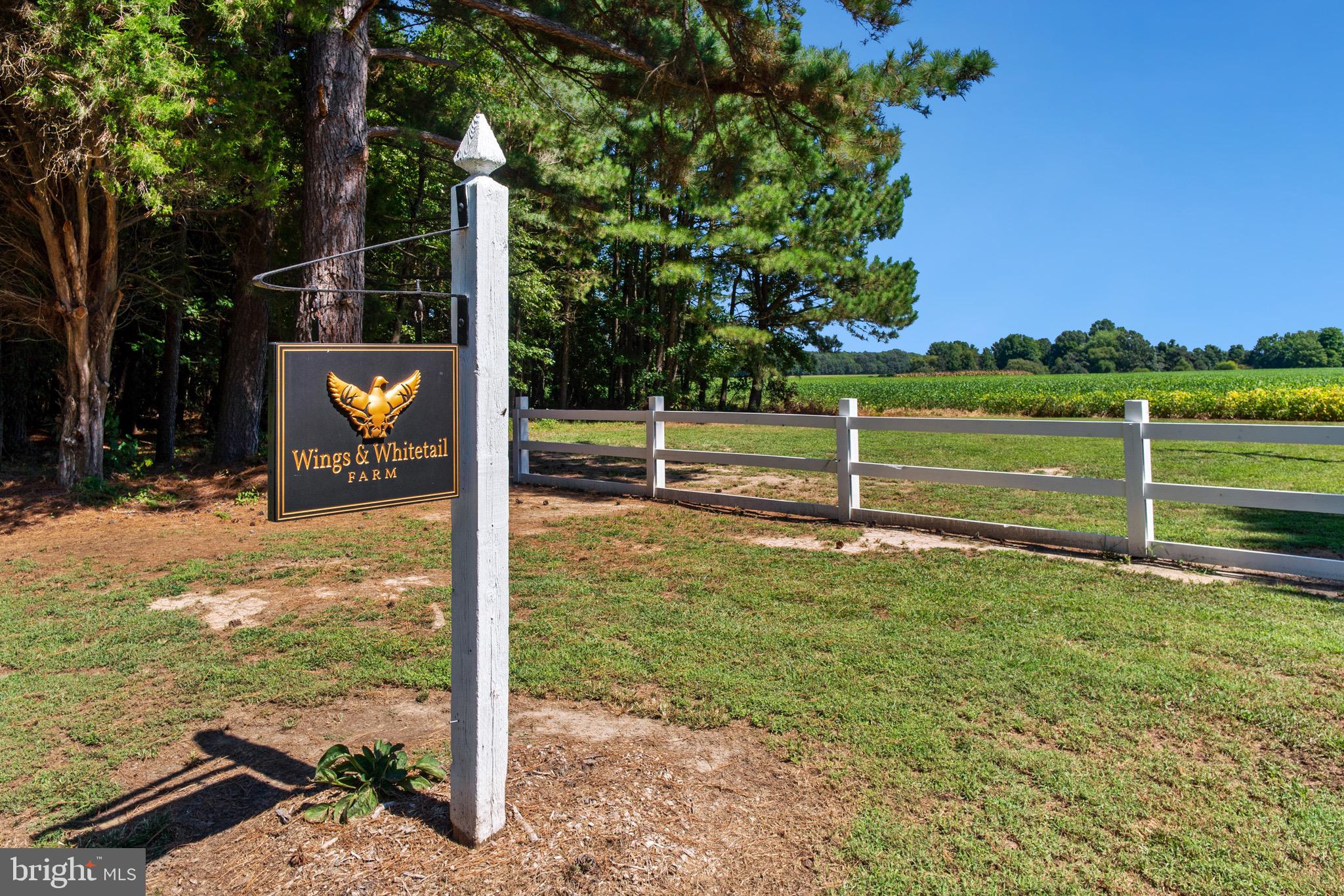 6029 Edesville Road Rock Hall, MD 21661 - Photo 70 of 75 Wings and Whitetail Farm in Rock Hall