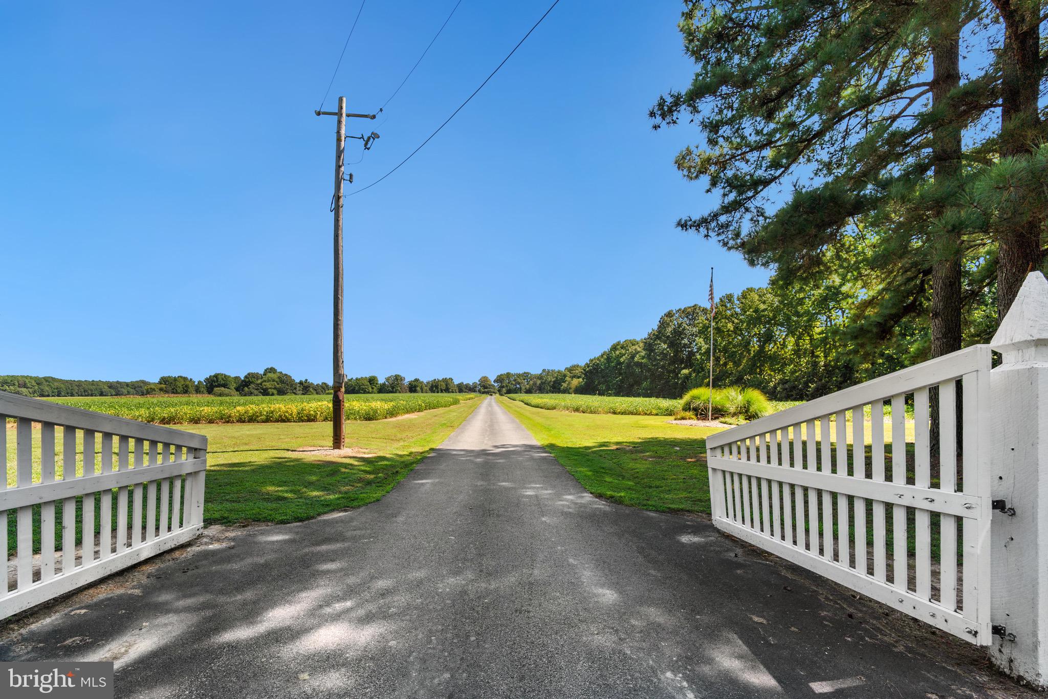 6029 Edesville Road Rock Hall, MD 21661 - Photo 71 of 75 Private lane