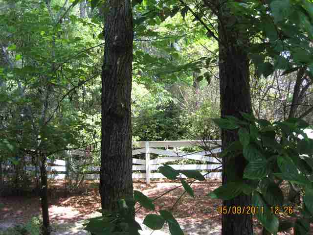 4422 Buckthorn Place Murrells Inlet, SC 29576 - Photo 8 of 8 Gallery Image 8