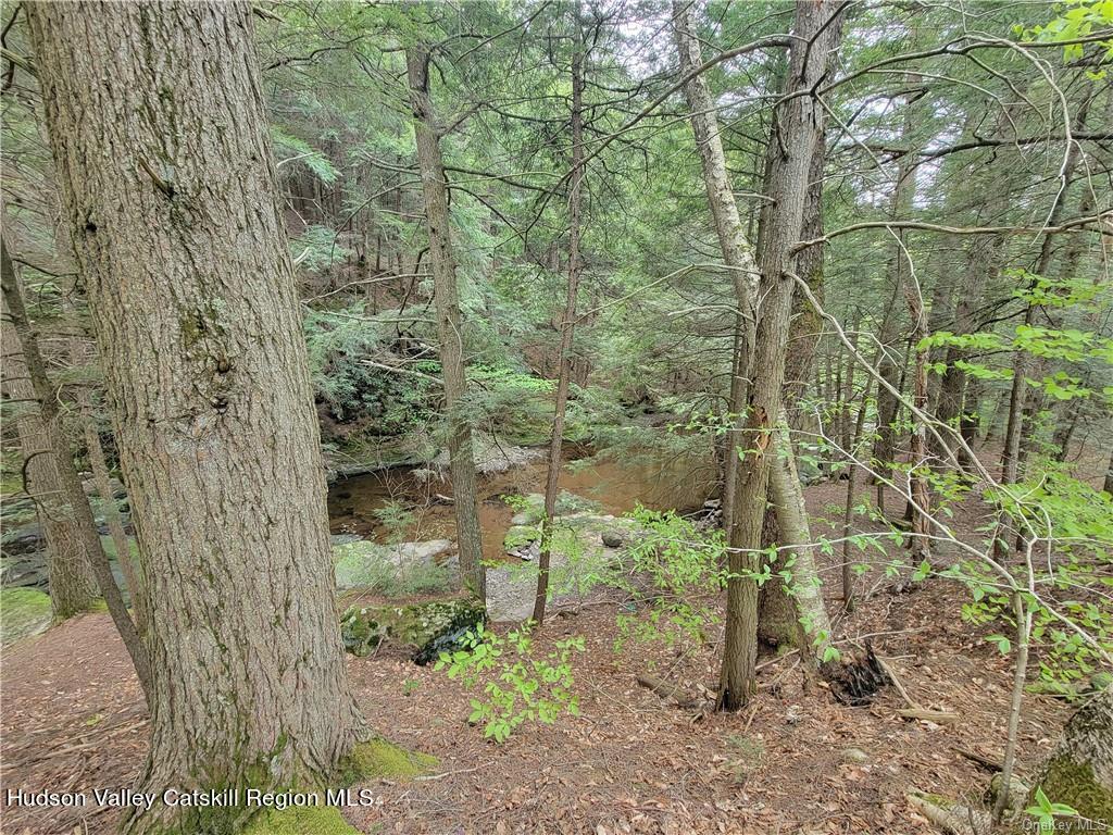 172 Eagles Ridge Way Parksville, NY 12768 - Photo 13 of 36 a view of a bathroom