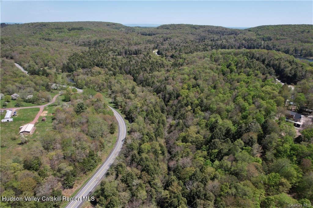 172 Eagles Ridge Way Parksville, NY 12768 - Photo 14 of 36 an aerial view of forest
