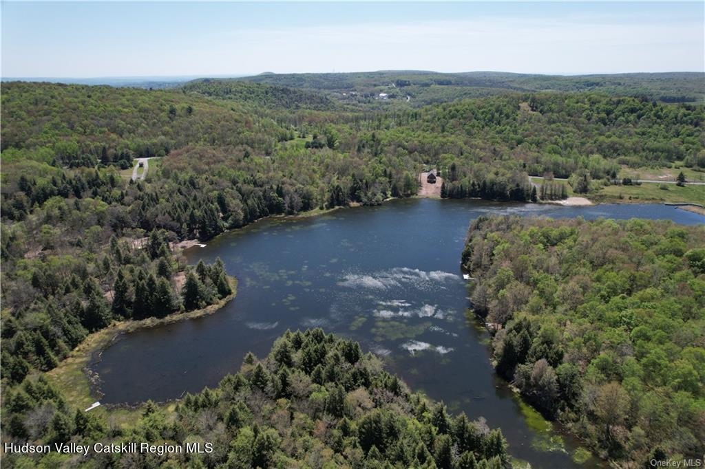 172 Eagles Ridge Way Parksville, NY 12768 - Photo 16 of 36 an aerial view of a house with a yard