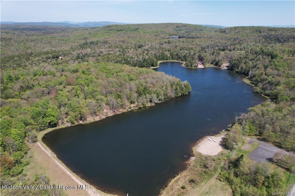 172 Eagles Ridge Way Parksville, NY 12768 - Photo 17 of 36 a view of a forest from a balcony