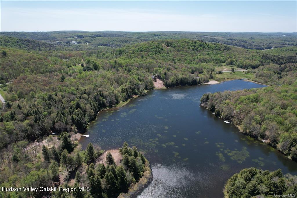 172 Eagles Ridge Way Parksville, NY 12768 - Photo 18 of 36 an aerial view of green landscape with trees all around