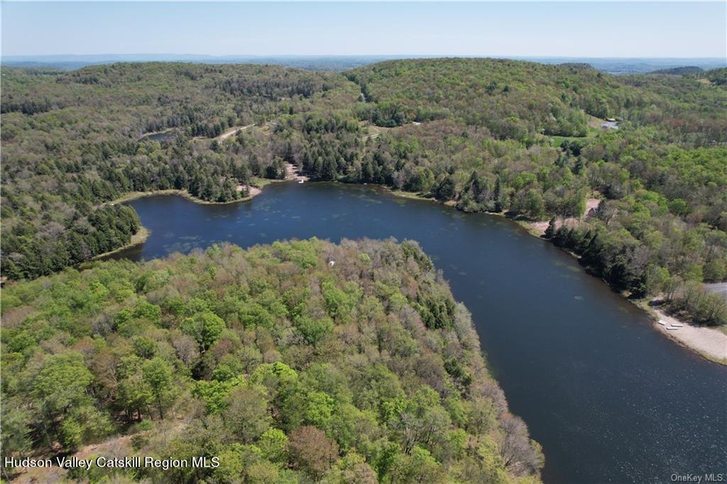 172 Eagles Ridge Way Parksville, NY 12768 - Photo 19 of 36 an aerial view of a house with a yard