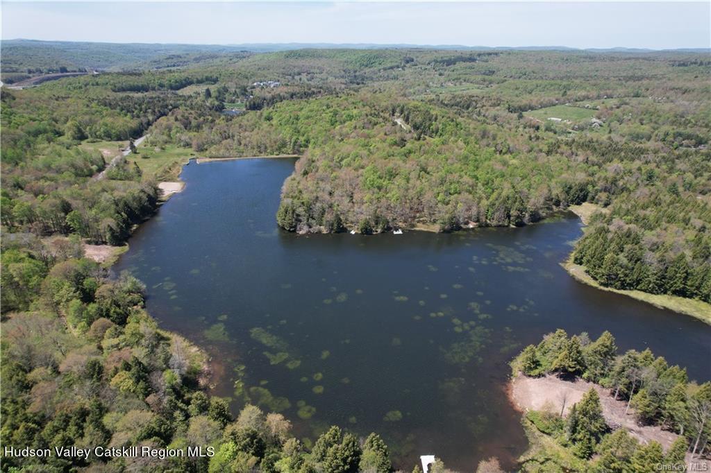 172 Eagles Ridge Way Parksville, NY 12768 - Photo 2 of 36 an aerial view of a house with a yard