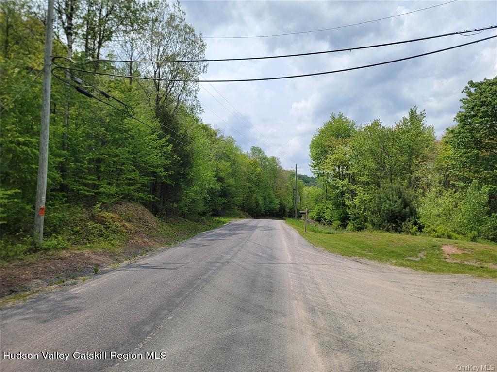 172 Eagles Ridge Way Parksville, NY 12768 - Photo 21 of 36 a view of a yard with a street view