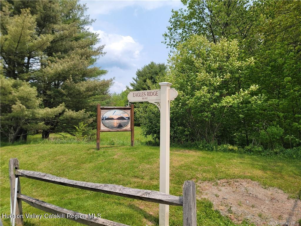 172 Eagles Ridge Way Parksville, NY 12768 - Photo 22 of 36 a view of a park with large trees