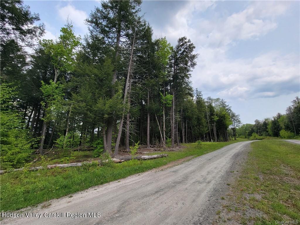 172 Eagles Ridge Way Parksville, NY 12768 - Photo 24 of 36