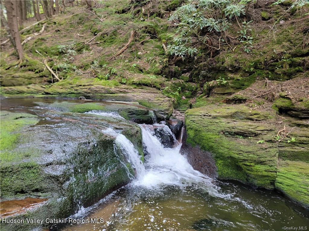 172 Eagles Ridge Way Parksville, NY 12768 - Photo 3 of 36 a view of a lake with beach and green space