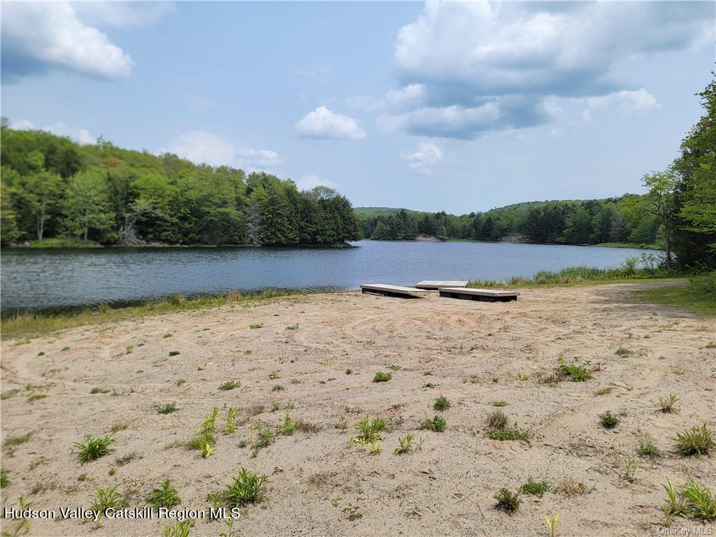 172 Eagles Ridge Way Parksville, NY 12768 - Photo 31 of 36 a view of lake view and mountain view