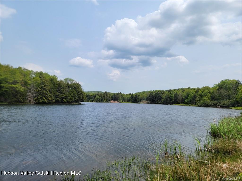 172 Eagles Ridge Way Parksville, NY 12768 - Photo 32 of 36 a view of a lake