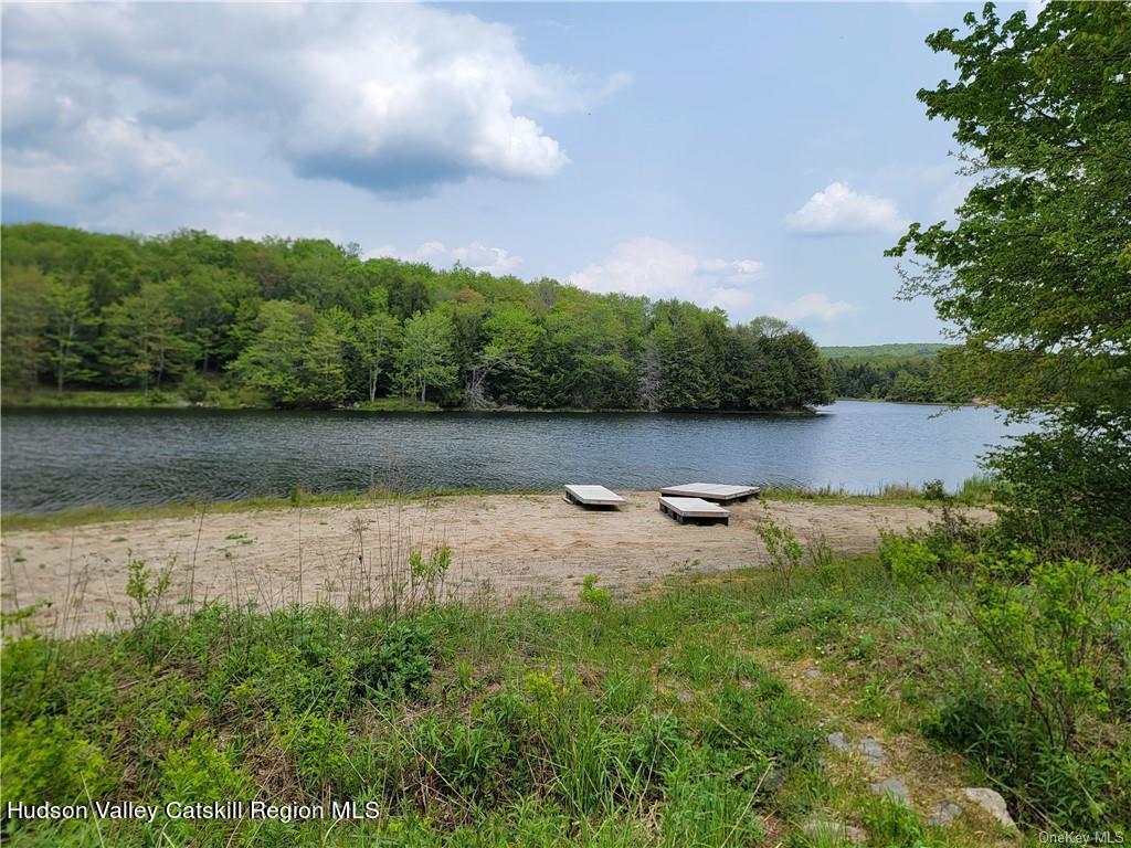 172 Eagles Ridge Way Parksville, NY 12768 - Photo 33 of 36 an aerial view of a house with a garden and lake view