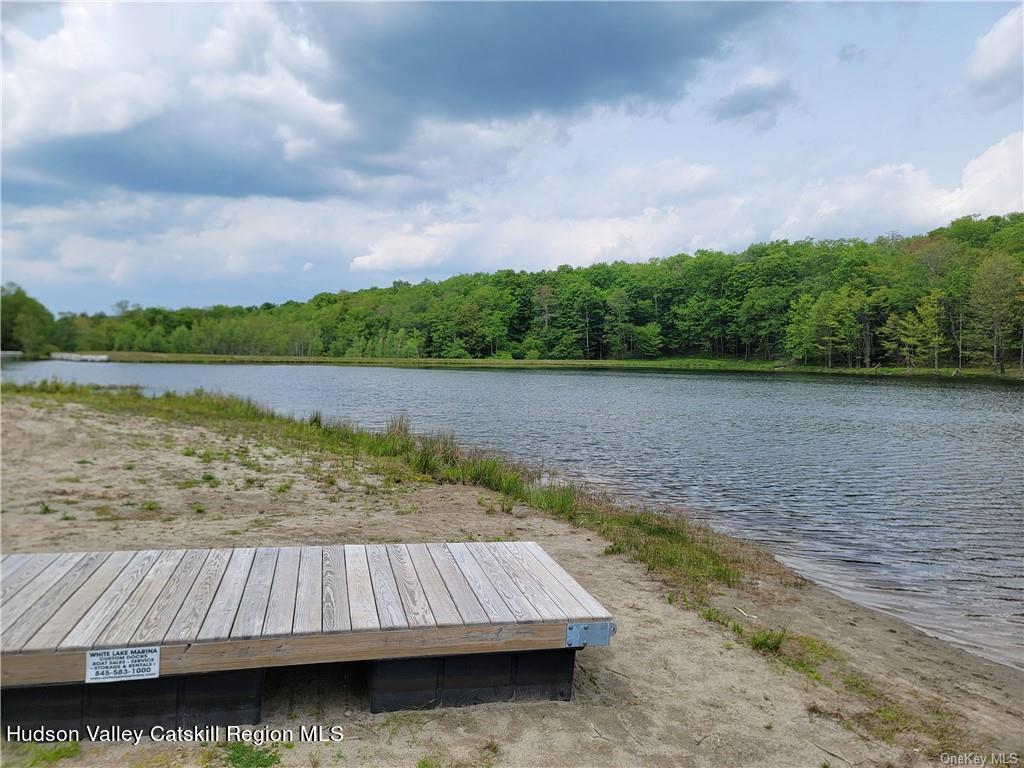 172 Eagles Ridge Way Parksville, NY 12768 - Photo 35 of 36 a view of outdoor space and lake