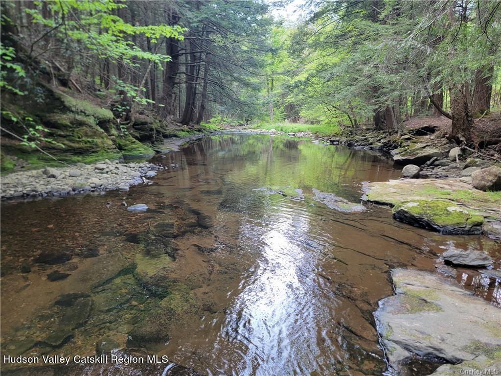 172 Eagles Ridge Way Parksville, NY 12768 - Photo 4 of 36 a backyard of a house with lots of green space