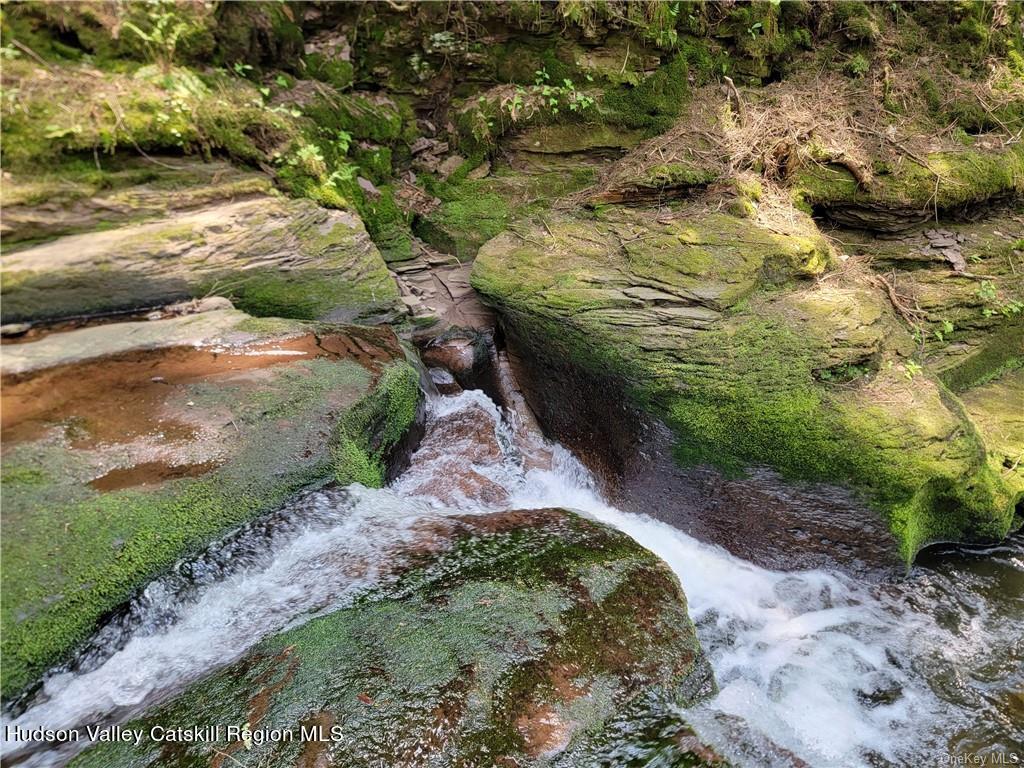 172 Eagles Ridge Way Parksville, NY 12768 - Photo 5 of 36 a view of a garden with plants and large trees