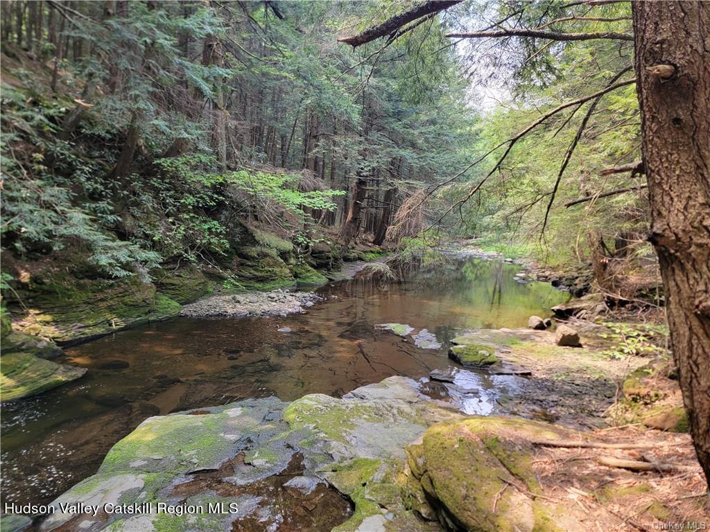 172 Eagles Ridge Way Parksville, NY 12768 - Photo 7 of 36 a view of lake from a building