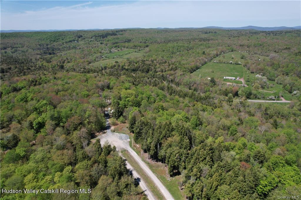 172 Eagles Ridge Way Parksville, NY 12768 - Photo 8 of 36 a view of a city with lush green forest