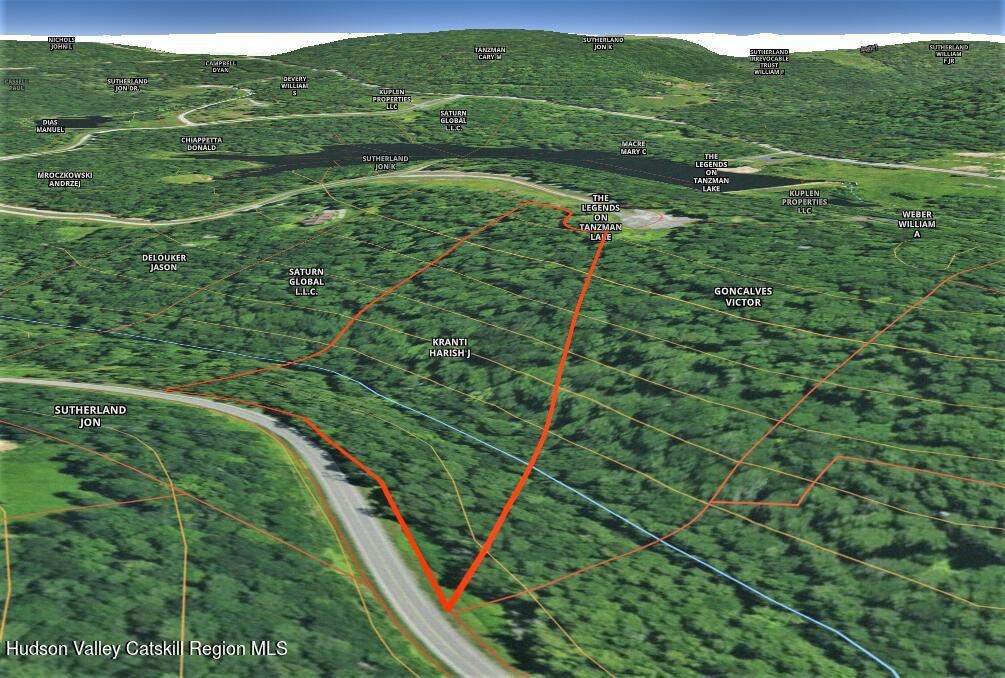 172 Eagles Ridge Way Parksville, NY 12768 - Photo 9 of 36 a view of a green field with lots of trees