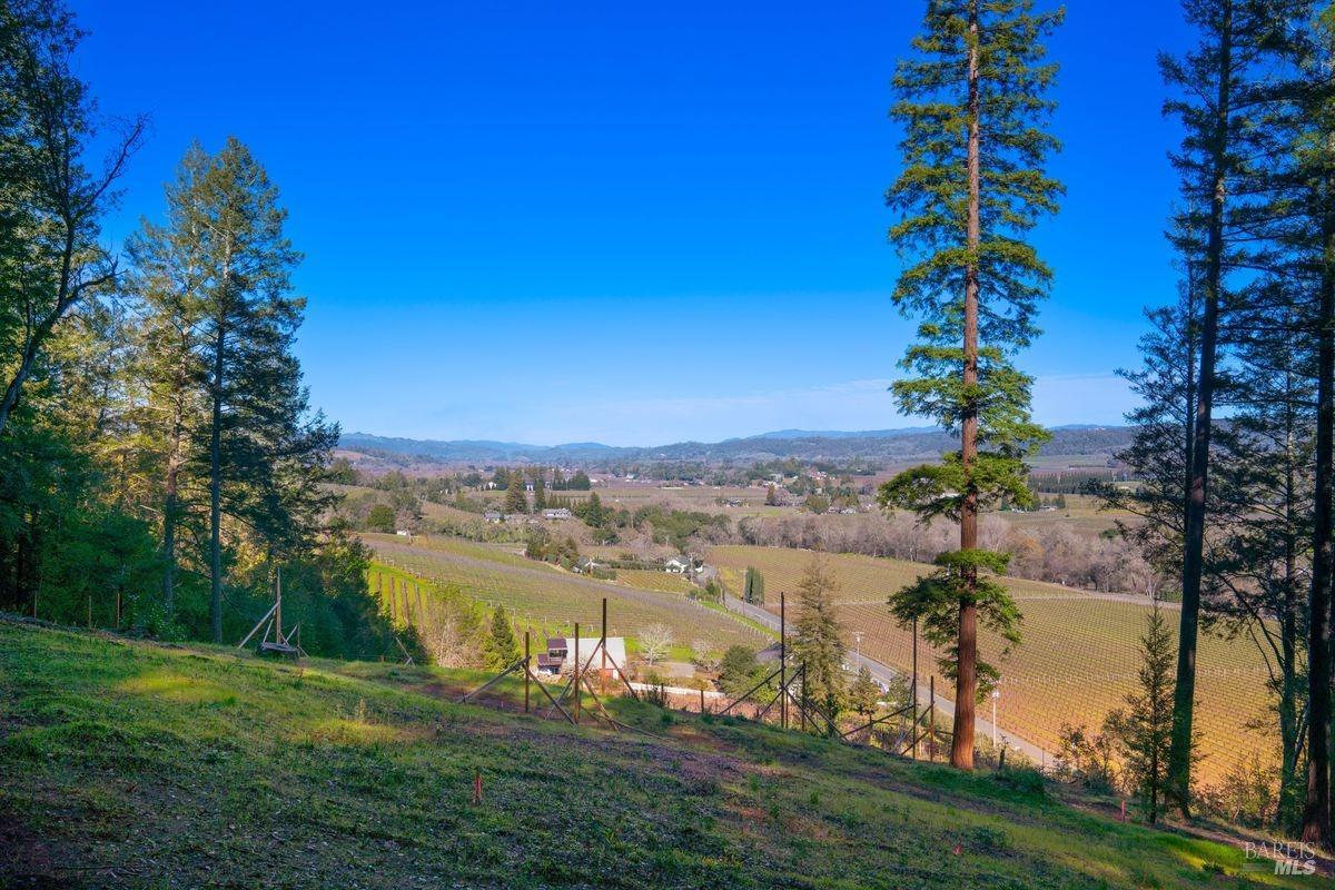 3210 West Dry Creek Road Healdsburg, CA 95448 - Photo 20 of 31