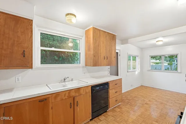 a view of a yard with plants and large trees