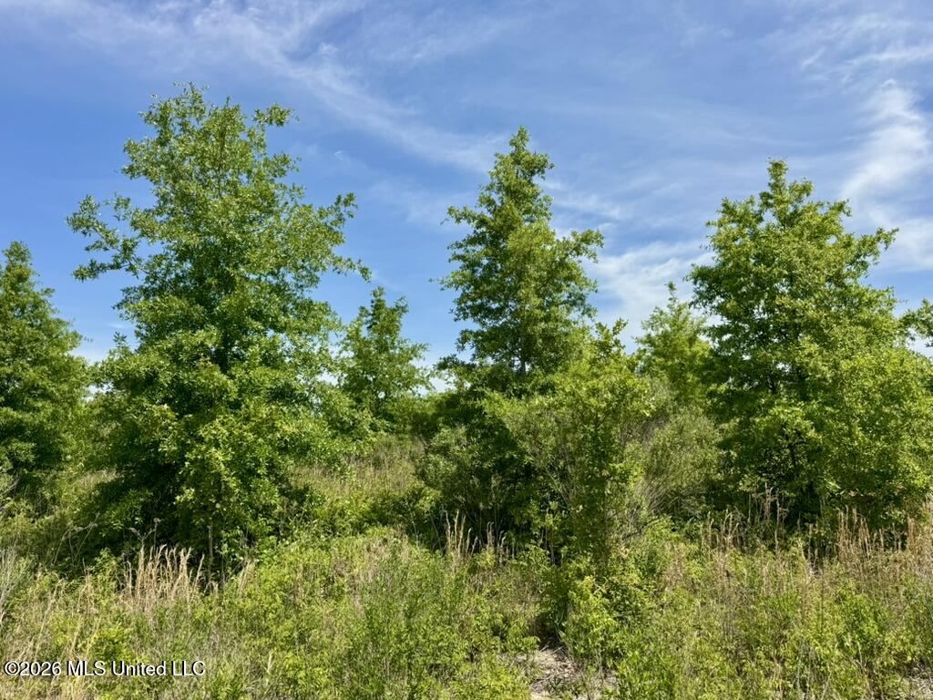 1 Highway 3 Lambert, MS 38643 - Photo 25 of 102 1EE64FBE-6870-4037-814C-F6C05E4464A0_1_1