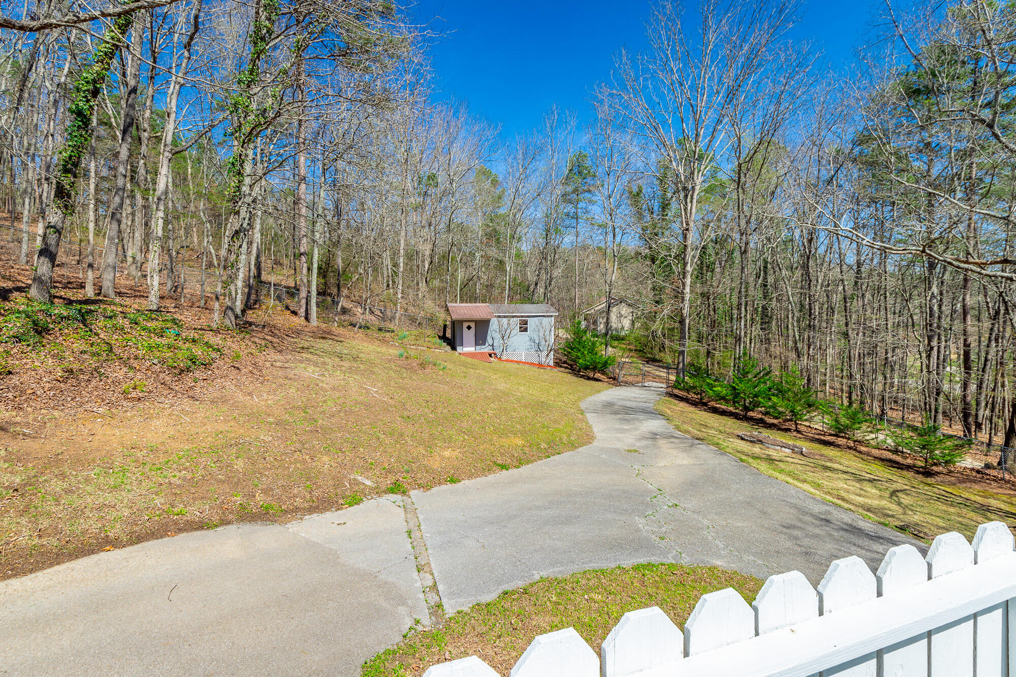 3885 Highway 41 Ringgold, GA 30736 - Photo 19 of 39 Backyard