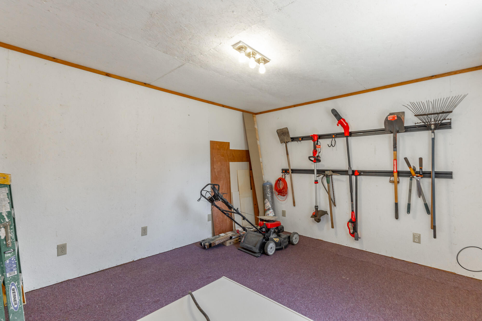 3885 Highway 41 Ringgold, GA 30736 - Photo 24 of 39 Inside the Shed