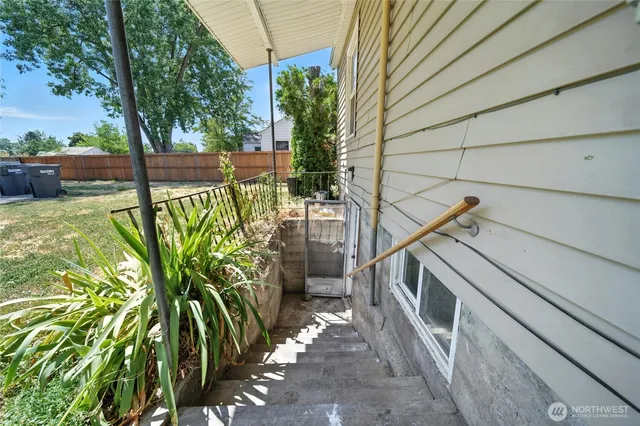 a view of a plant in a garden