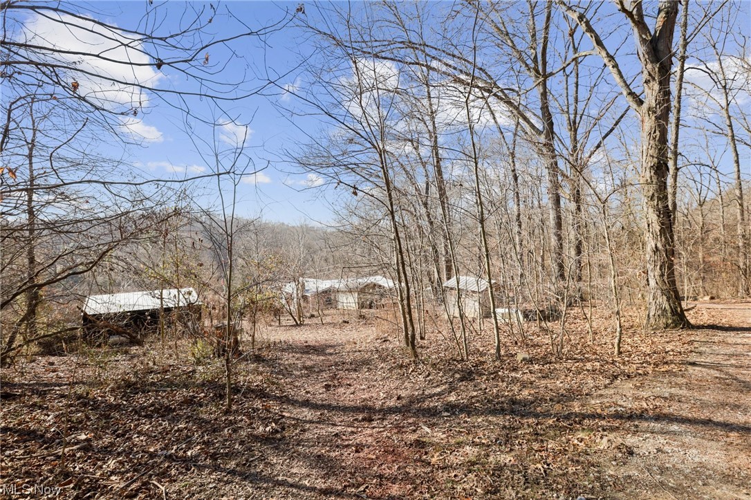 2106 Crabtree Road Albany, OH 45710 - Photo 37 of 50 View of primary residence, cabins, outbuilding, chicken coup