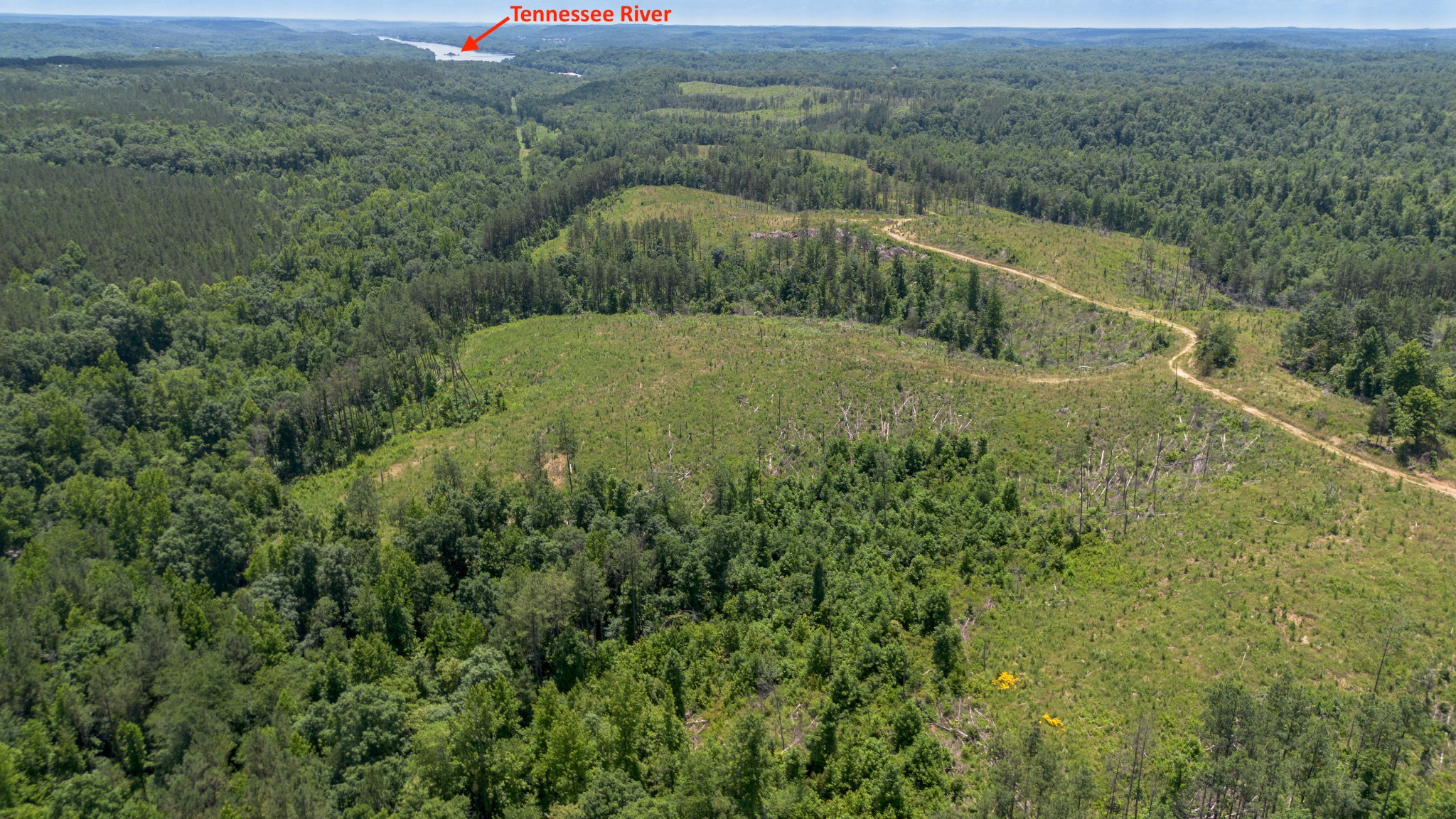 0 Bunches Chapel Road Parsons, TN 38363 - Photo 1 of 15 Gallery Image 1