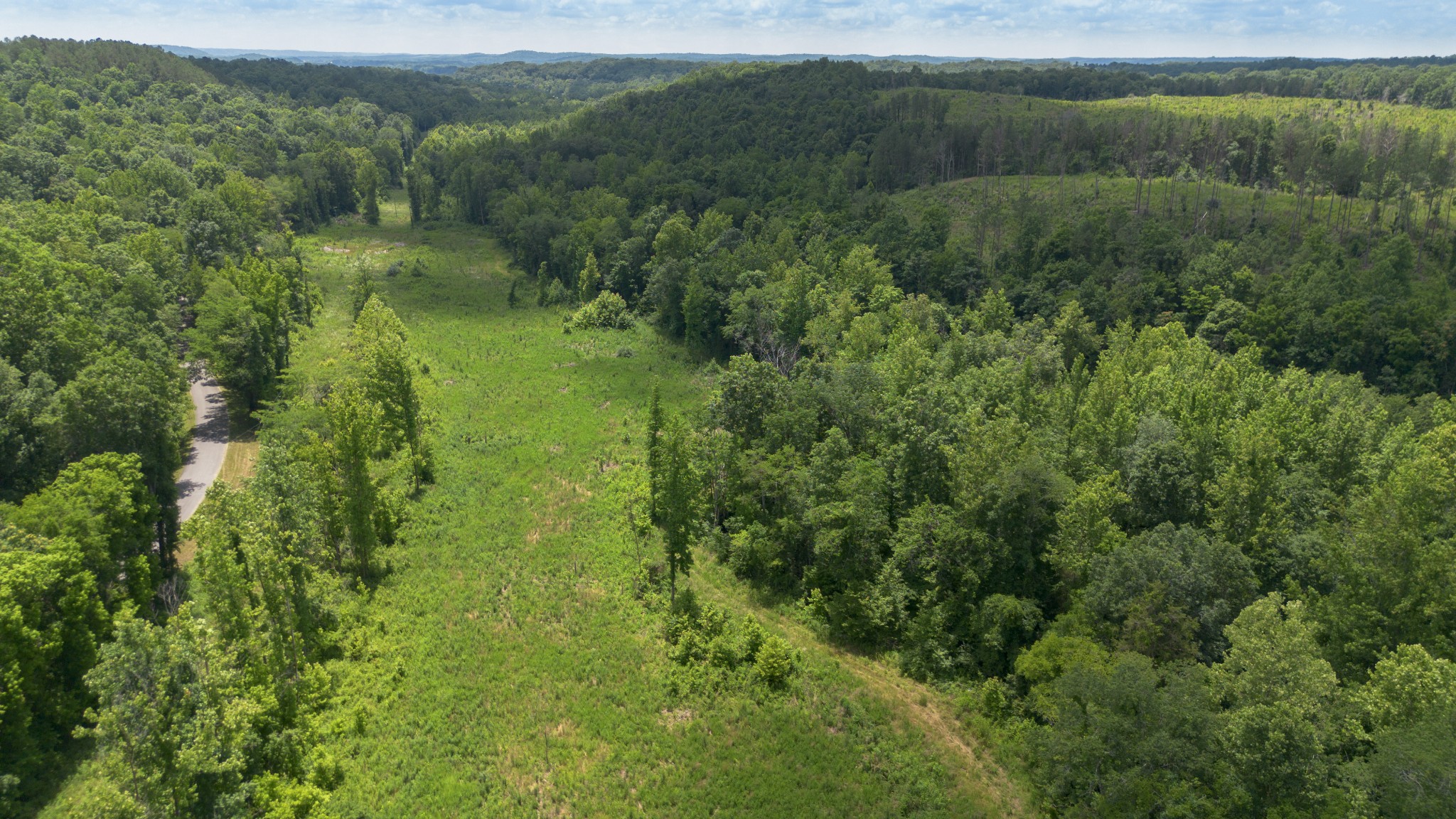 0 Bunches Chapel Road Parsons, TN 38363 - Photo 3 of 15 Gallery Image 3