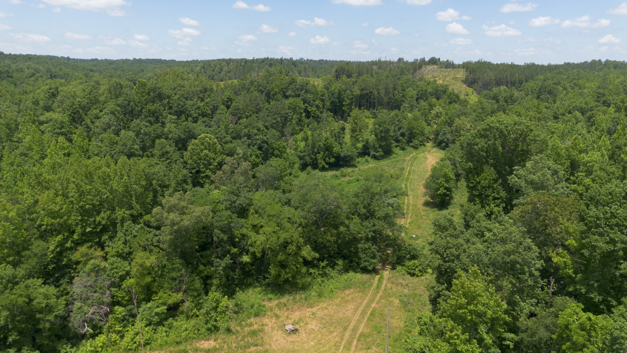 0 Bunches Chapel Road Parsons, TN 38363 - Photo 5 of 15 Gallery Image 5