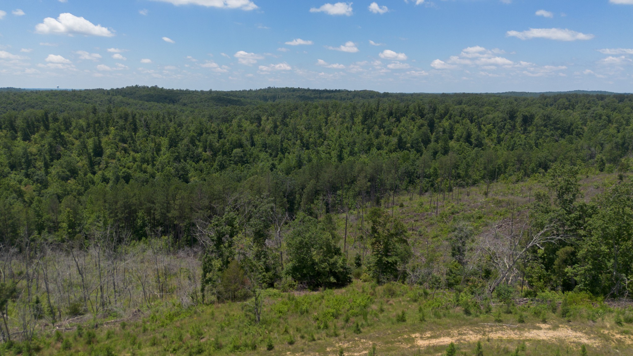 0 Bunches Chapel Road Parsons, TN 38363 - Photo 7 of 15 Gallery Image 7