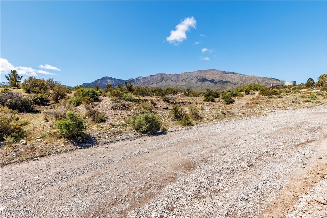 175 Rudin Drive Cold Creek, NV 89124 - Photo 15 of 41