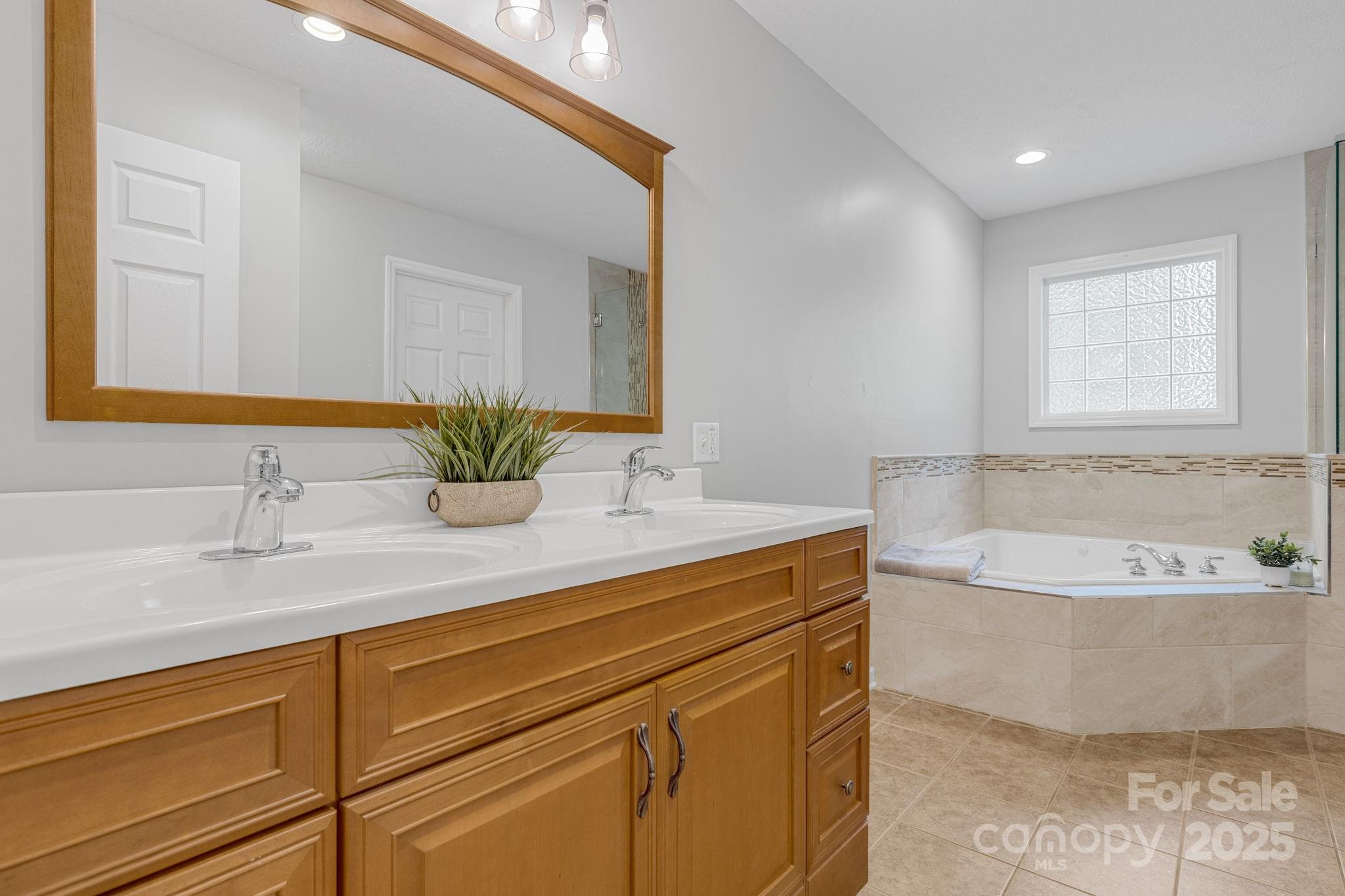 904 Mills Gap Road Fletcher, NC 28732 - Photo 16 of 36 a bathroom with a tub a sink and mirror
