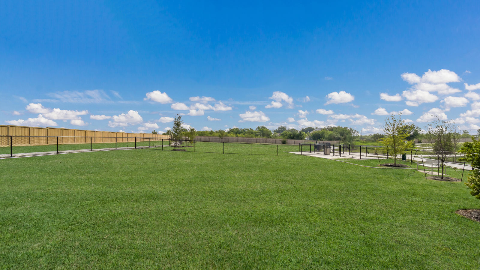 1173 Celosia Loop Kyle, TX 78640 - Photo 21 of 22