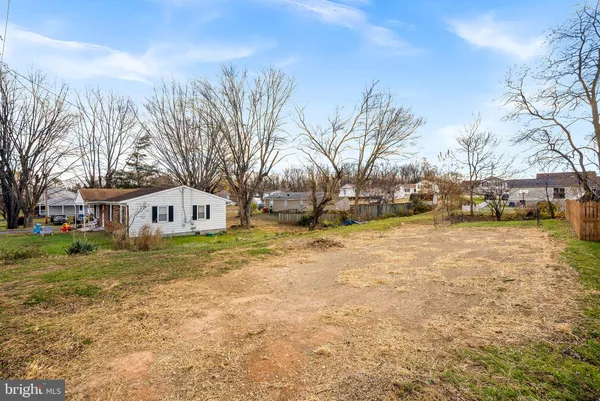 a view of a yard with a large tree