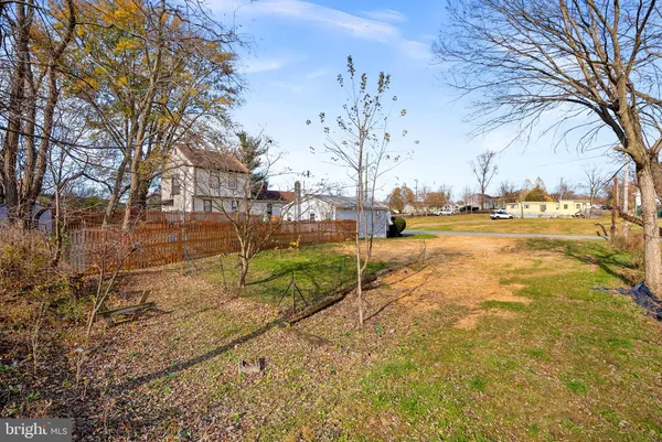a view of a yard with trees