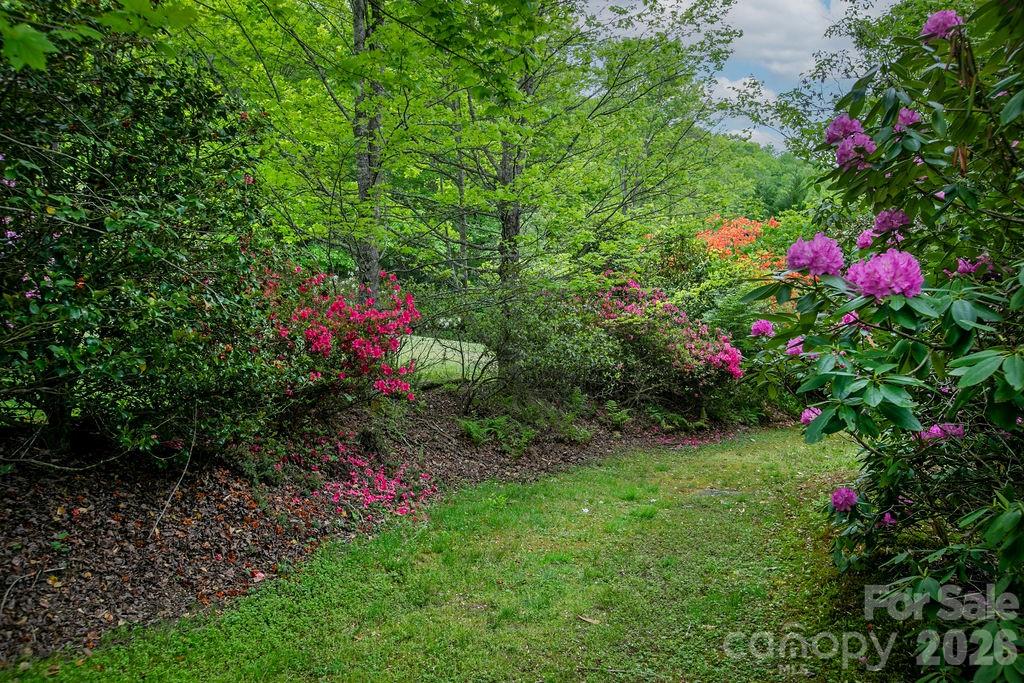 520 Blythe Road Pisgah Forest, NC 28768 - Photo 35 of 43