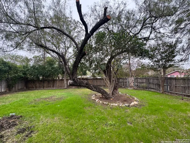 a view of a backyard with a large tree