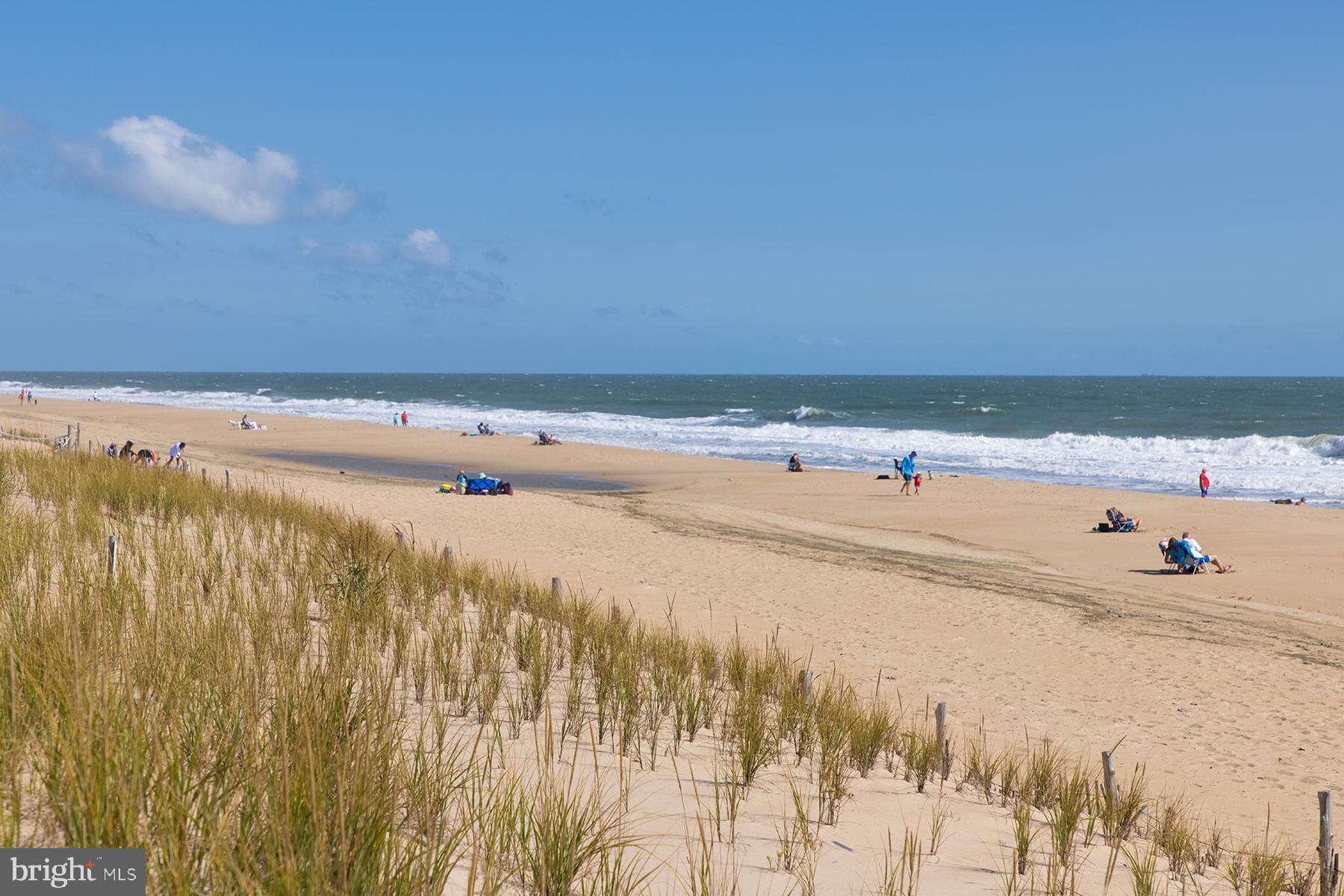 266 Exeter Street Ocean View, DE 19970 - Photo 52 of 62 Convenient to Fenwick state parks and beaches