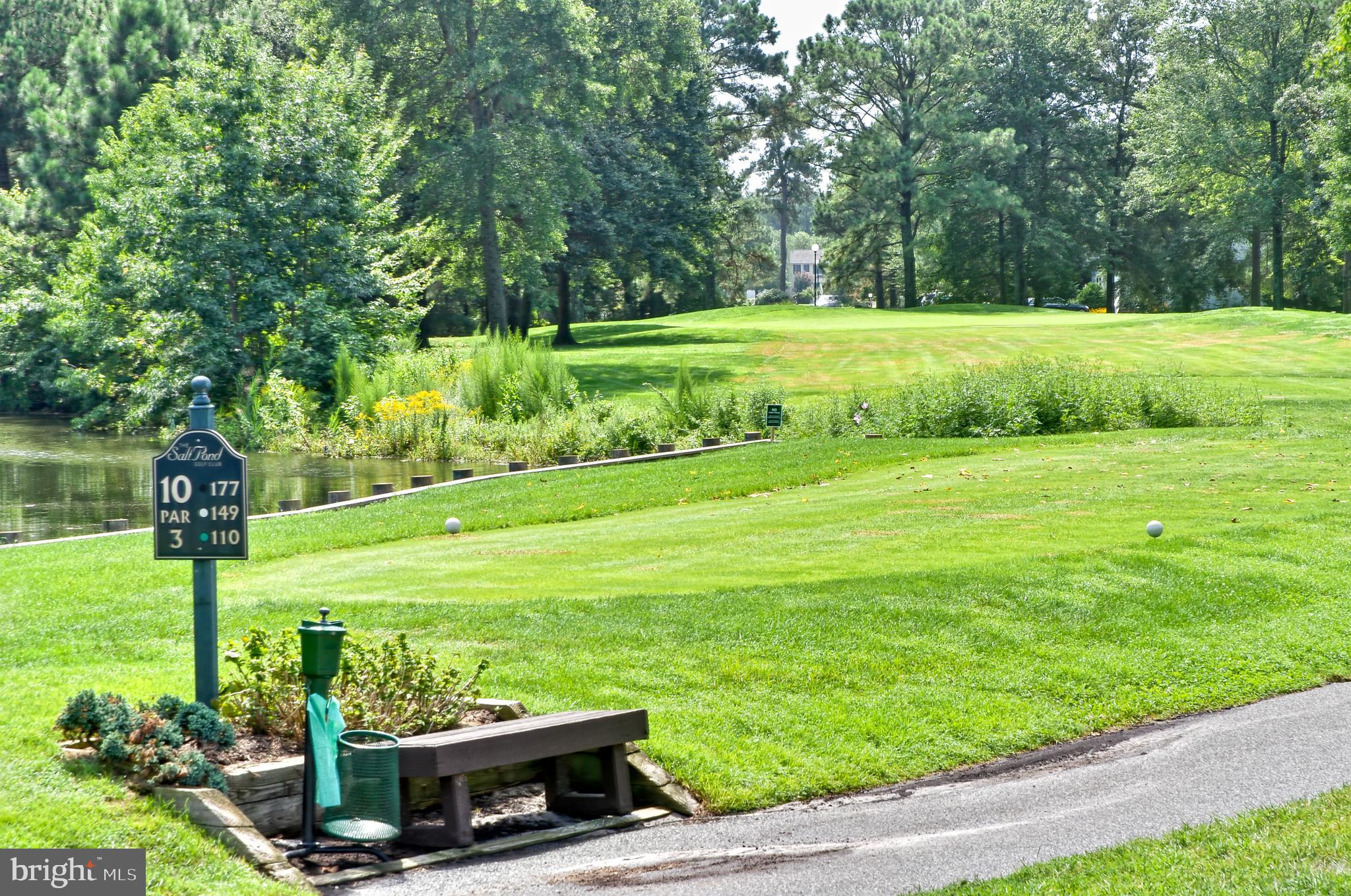 266 Exeter Street Ocean View, DE 19970 - Photo 55 of 62 a view of a big yard with potted plants and large trees