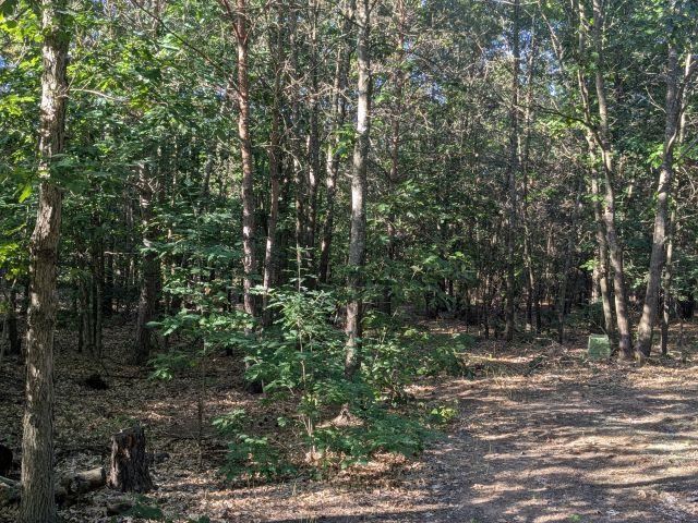 Lot B West 14 Road Mesick, MI 49668 - Photo 15 of 37