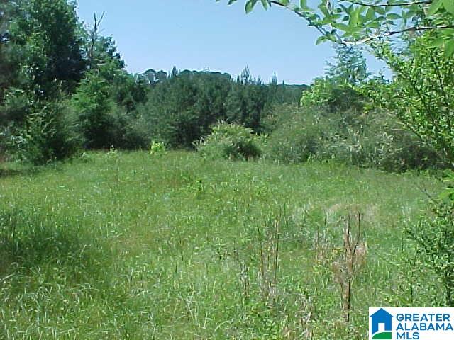 6530 County Road 17 Alabaster, AL 35114 - Photo 20 of 25