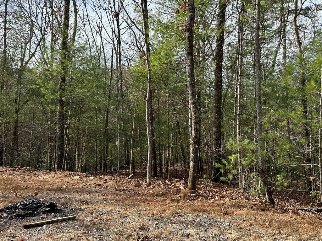 409 Nottley River Road Murphy, NC 28906 - Photo 26 of 29