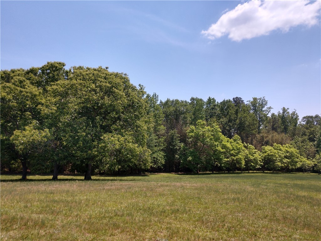 500 Howard McGee Road Anderson, SC 29621 - Photo 5 of 50